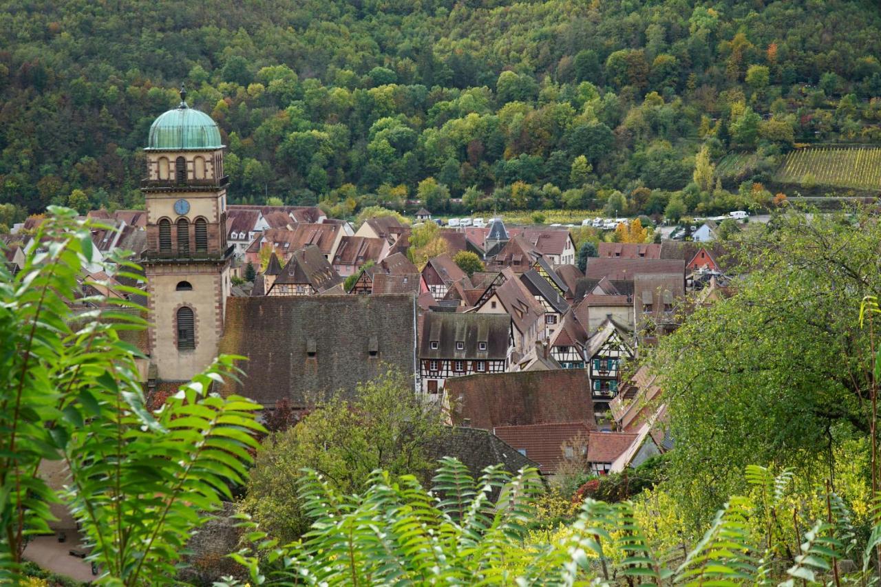 Gite Du Xve Kaysersberg-Vignoble Exteriör bild