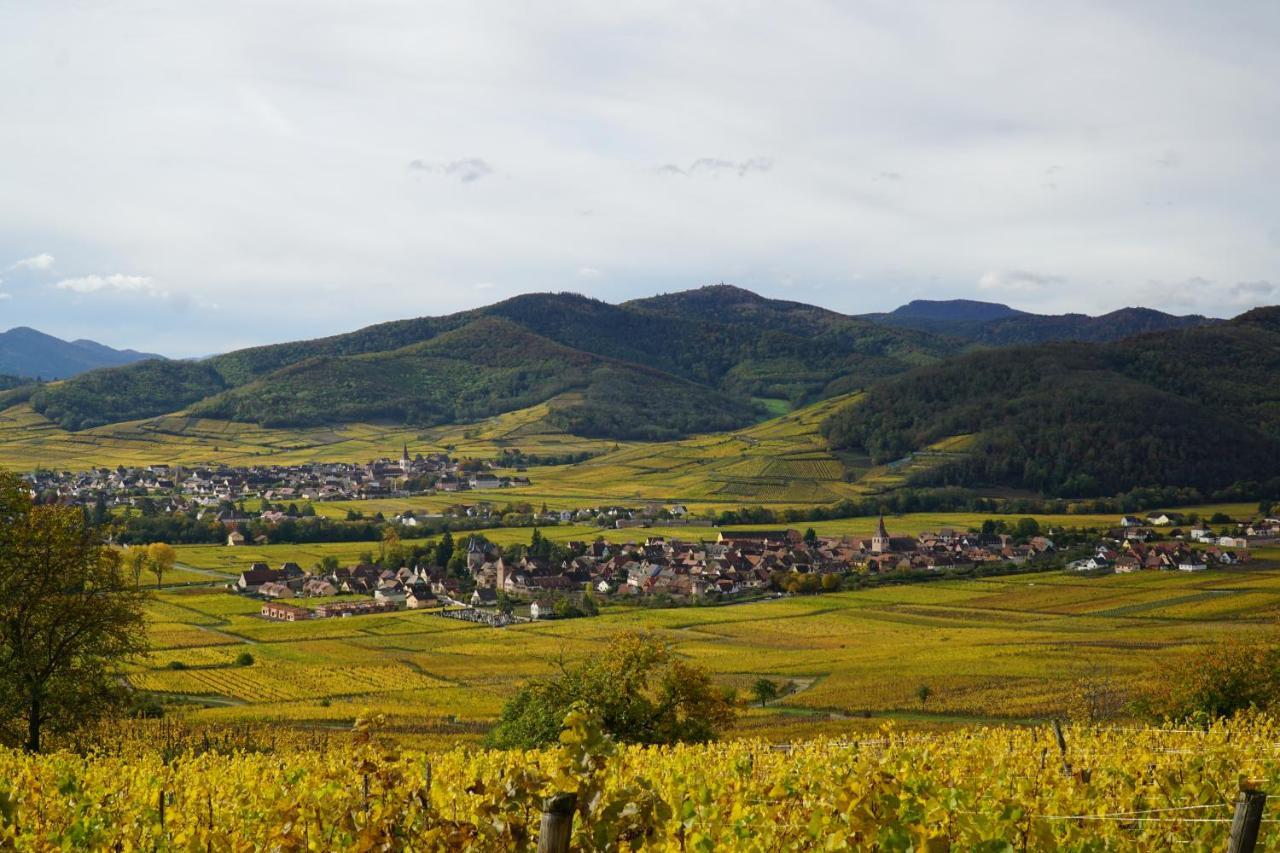 Gite Du Xve Kaysersberg-Vignoble Exteriör bild