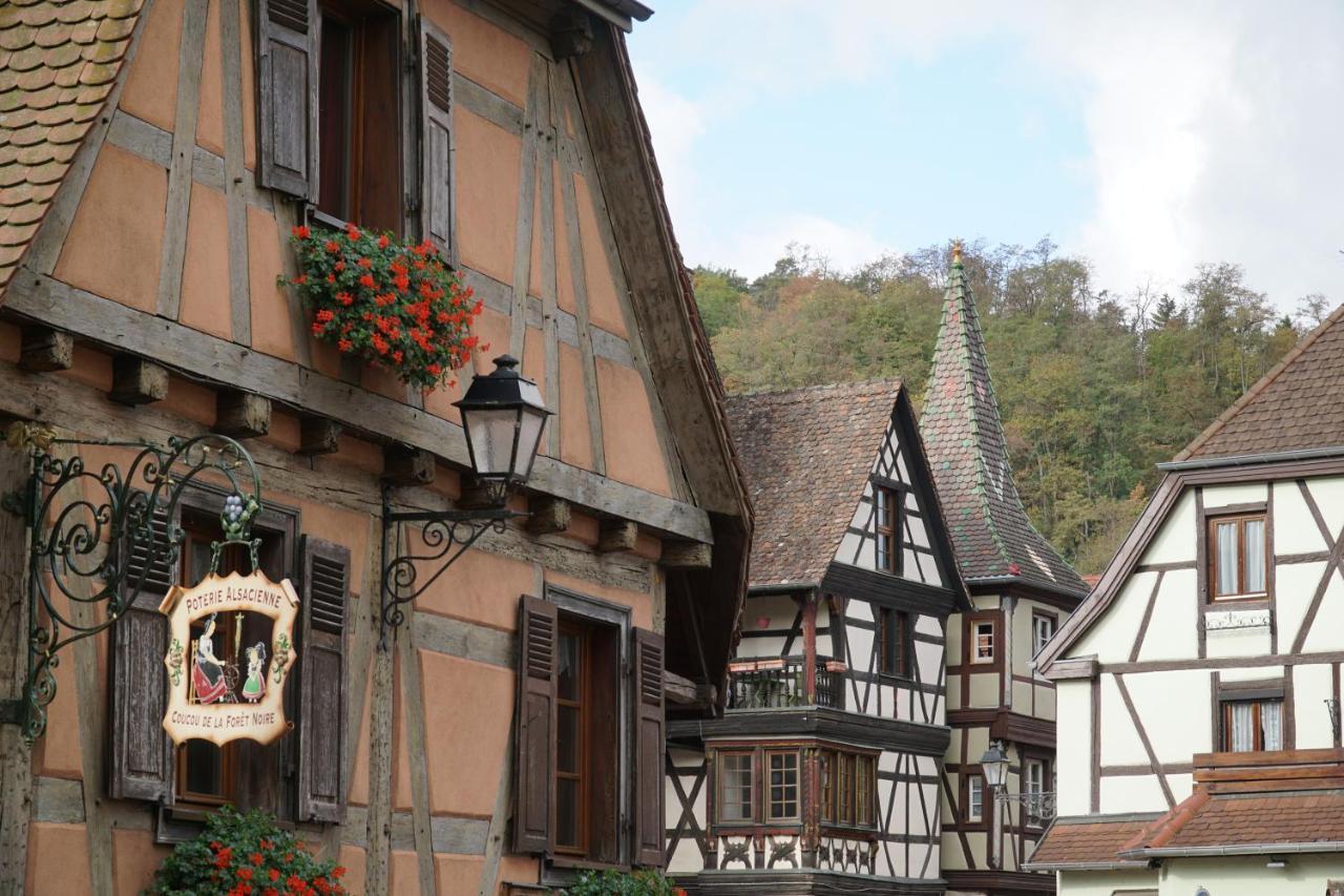 Gite Du Xve Kaysersberg-Vignoble Exteriör bild