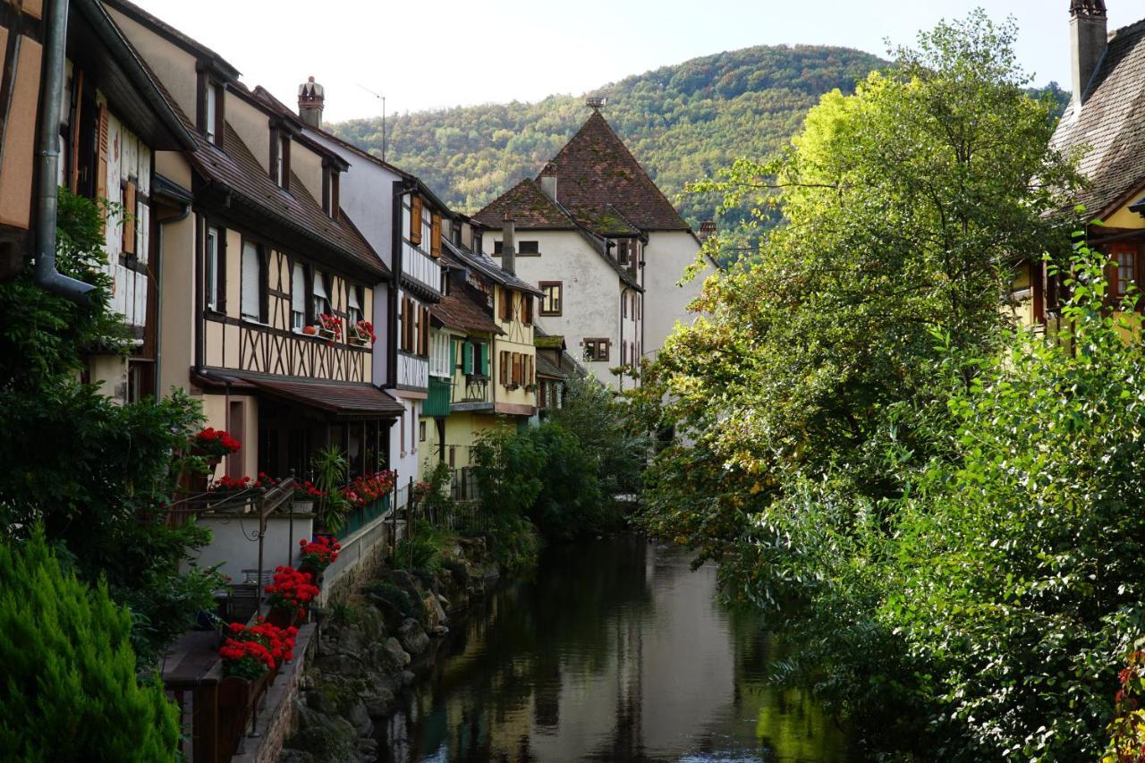 Gite Du Xve Kaysersberg-Vignoble Exteriör bild
